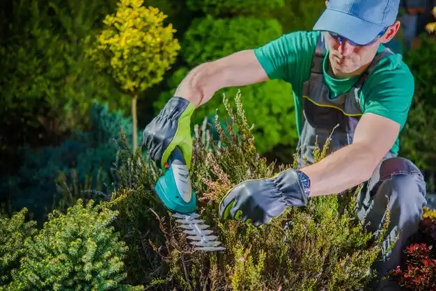 landscaping services Menands